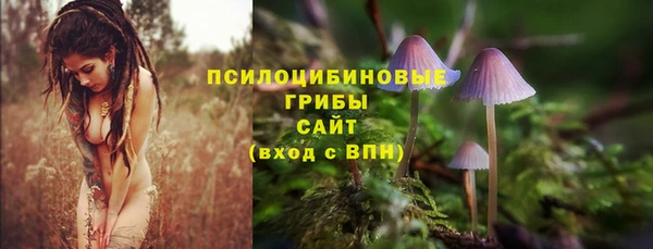 твердый Нея