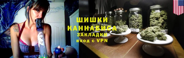 амф Новозыбков