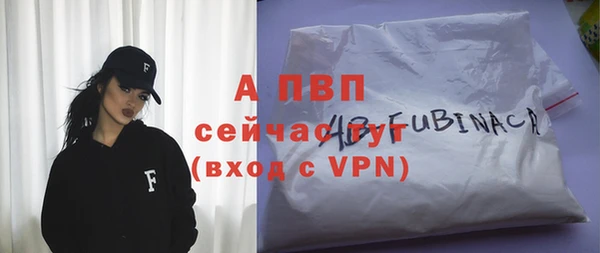 амф Новозыбков