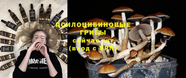 амф Новозыбков